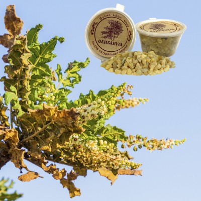 Diveevo olibanum vaik, 20 g